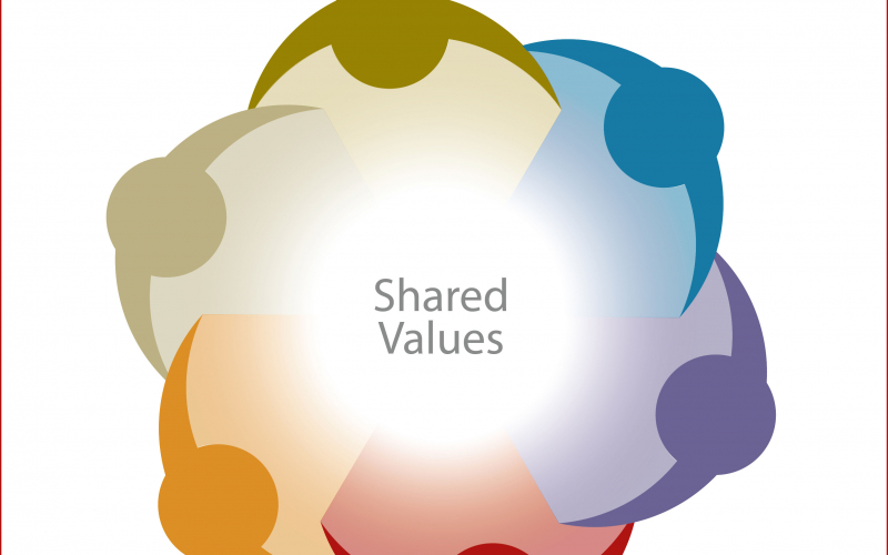 Establish shared values